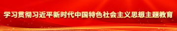 极品美女操逼学习贯彻习近平新时代中国特色社会主义思想主题教育